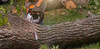Lawn Edging in Biglerville, PA